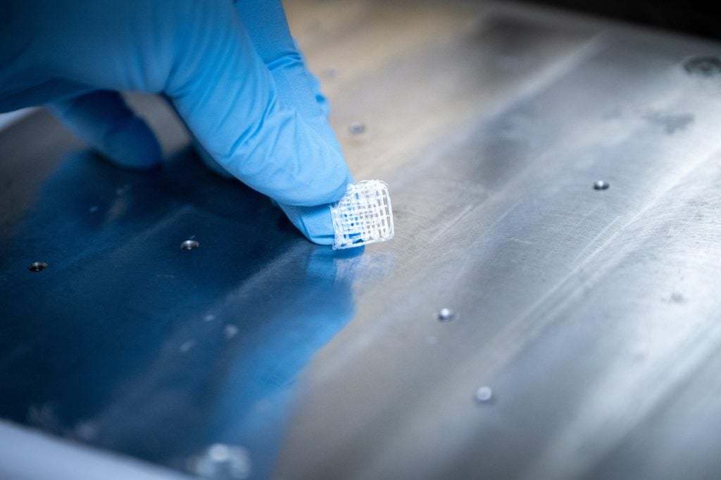 A white bone scaffold held up by gloved hands