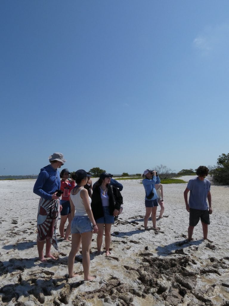 Students on a beach on a sunny day