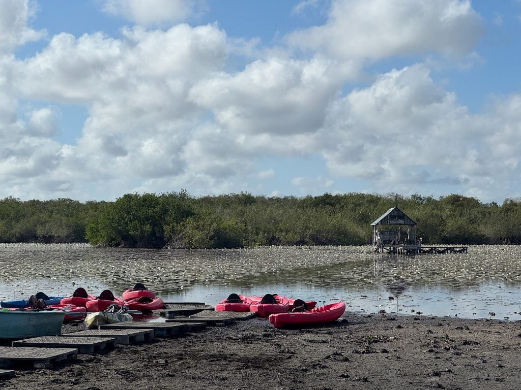 Beached rafts around a swampy area