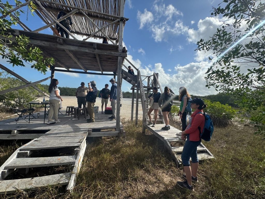 Students at a wooden structure on a beachy area