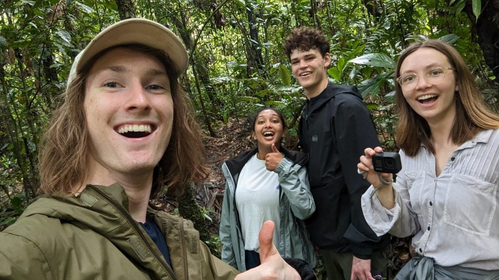 A group of four students in a rainforest