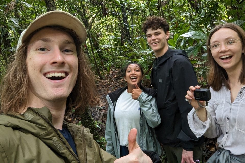 A group of four students in a rainforest