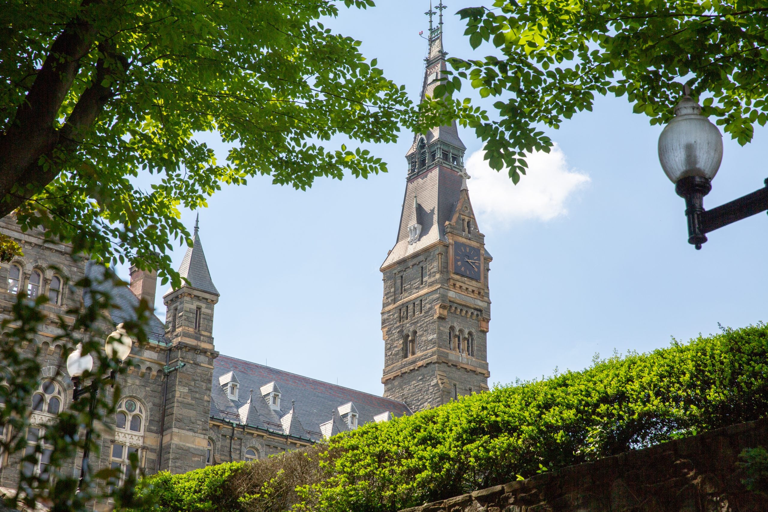 Georgetown Names Social Scientist as New Chief Research Officer