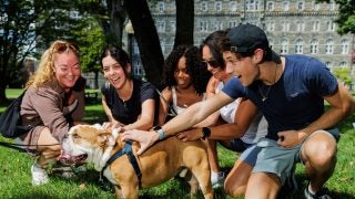 A group of students pet Georgetown's mascot, Jack the Bulldog