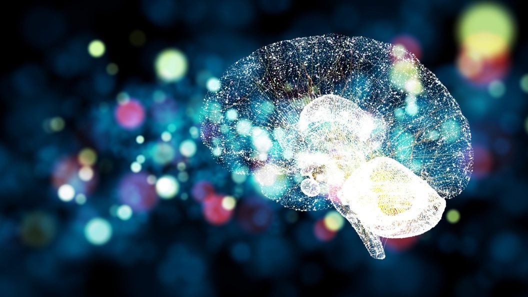 Illustration of a human brain