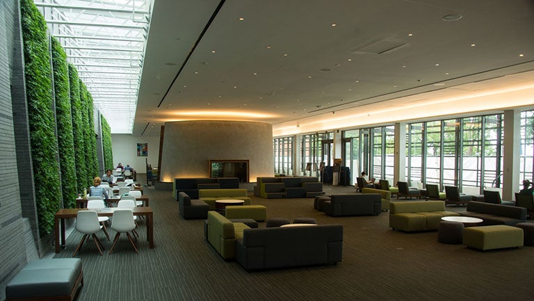 Students study in Healey Family Student Center.