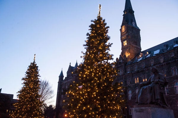 Two Christmas trees are lit in front of Healy Hall at dusk
