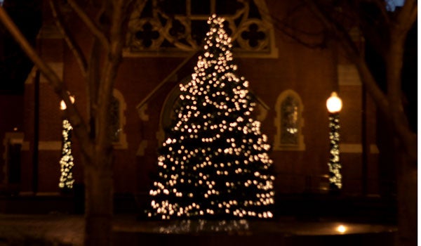 A lit Christmas tree stands in Dahlgren Quadrangle surrounded by light posts with Christmas lights