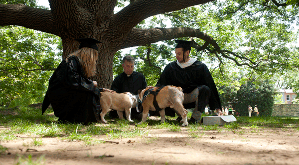 Graduates pet Jack and Jack Jr. on Copley Lawn