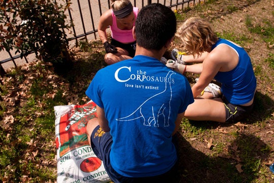 Students from The Corp and others plant bushes in Kenilworth