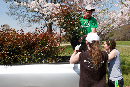 Student volunteers unload bushes