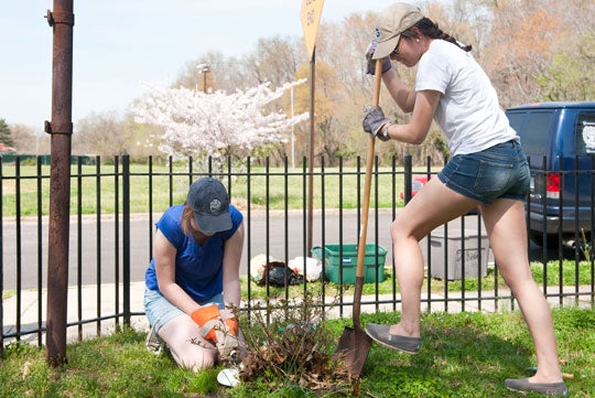 Student volunteers plant bushes