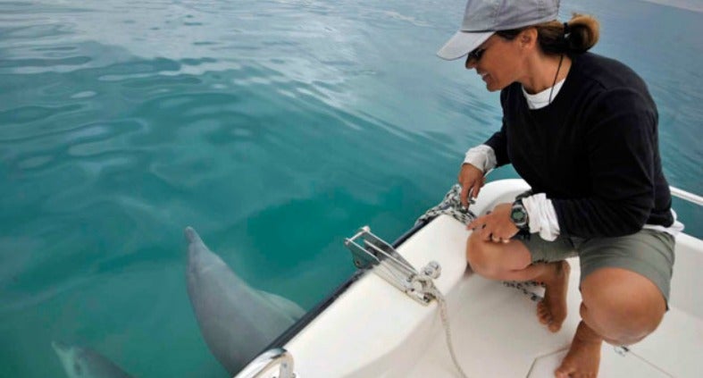 Janet Mann squats down near two dolphins in boat