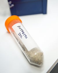 a sample soil from Antarctica sits labeled on a table