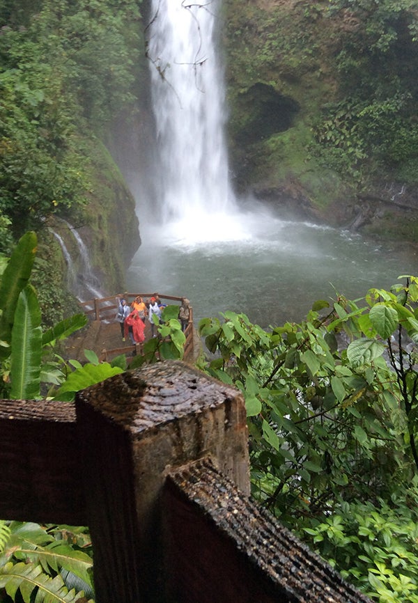 a group of students observe a waterfall in a rainforest.