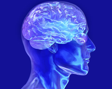 A digital representation of a person's brain. 