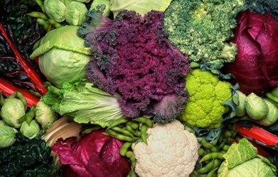 A photo of a collection of cruciferous vegetables, including lettuce, broccoli, and cabbage.