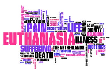 A word cloud with words such as euthanasia, pain and suffering