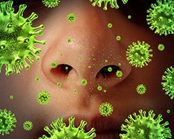 image of a nose surrounding by illustrations of airborne microbes