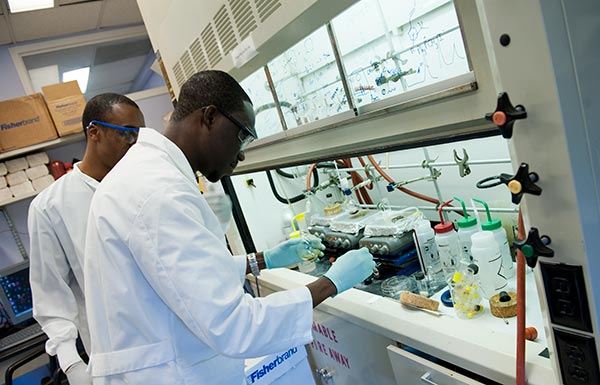 undergraduate students conducting experiment in a lab