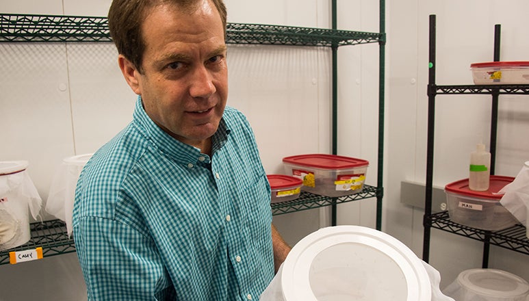 Peter Armbruster with a bucket of mosquitoes and shelves of buckets behind him