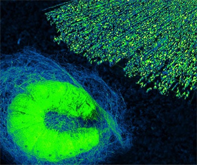 The mori silkworm and the fabricated creation of silk using a laser microscope and shearing device