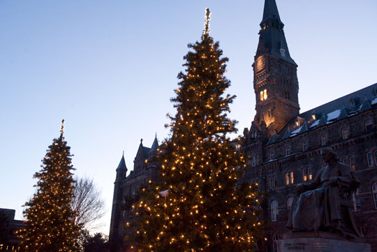 A photo of Healy Circle in the evening; Christmas trees can be seen along with Healy Hall. 
