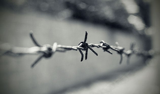 Chain link fence during the Holocaust