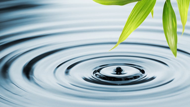 bamboo leaf hangs above rippled water caused by a single drop