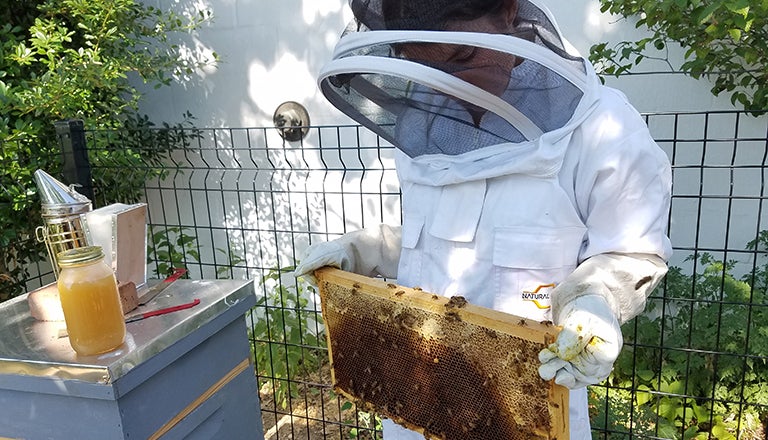 A woman in a protective suit holds screen with bees on it with a jar of honey near by