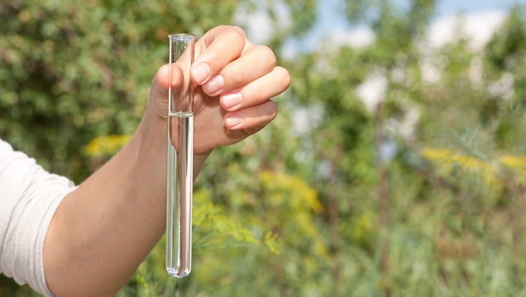 hand holding test tube filled with water