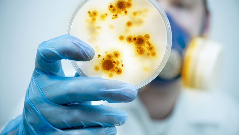 Masked scientific researcher wearing gloves holds petri dish