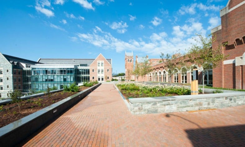 Plants sit in the middle of a brick patio outside Regents Hall with a lawn down below