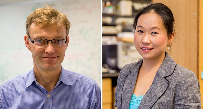 A split photo shows Christian Wolf in his lab and Jong-In Hahm in her lab