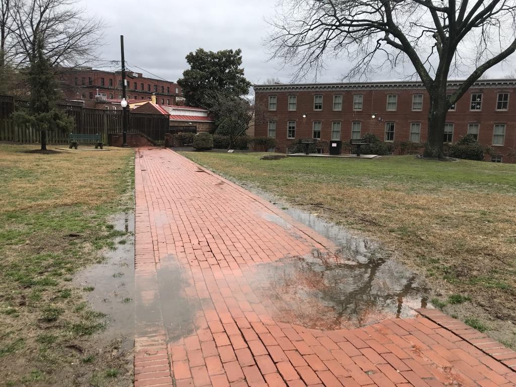 A puddle on a path in Alumni Square.