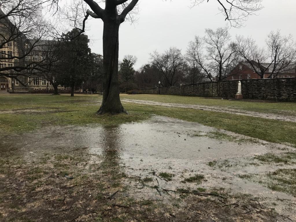 A puddle on Georgetown's front lawn.