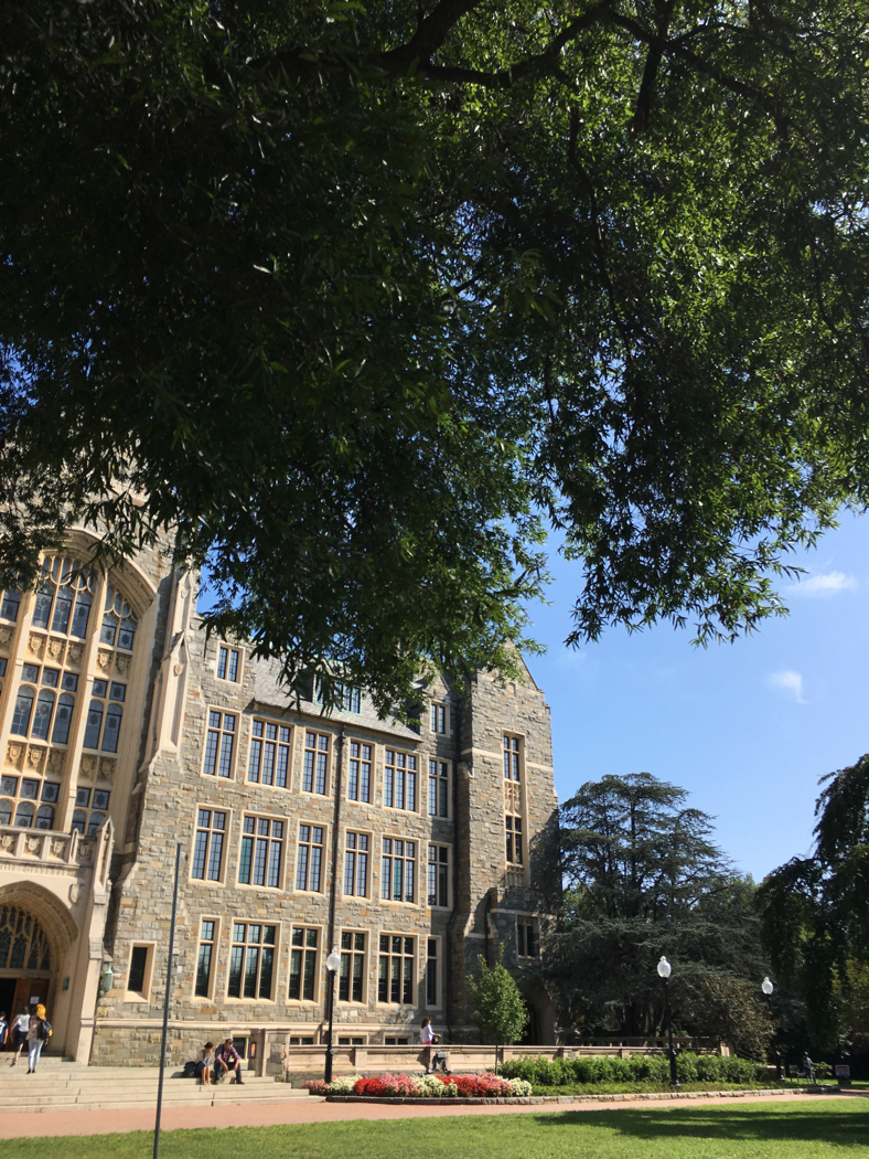 White Gravenor peeks through the trees on a sunny day